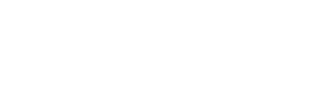 STARTUP PERÚ